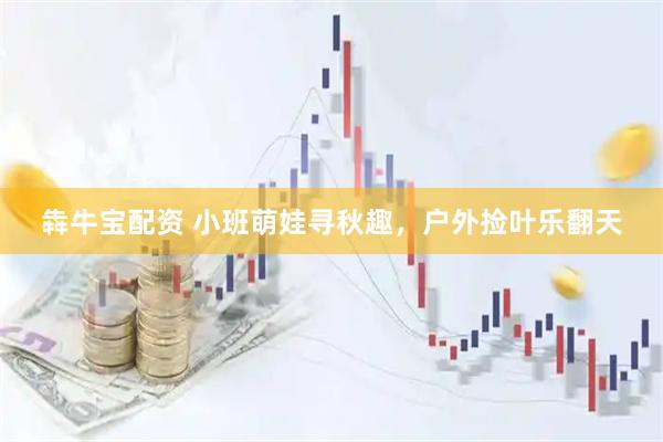 犇牛宝配资 小班萌娃寻秋趣，户外捡叶乐翻天